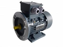 Elektromotor 0,25kW 230V IMB35